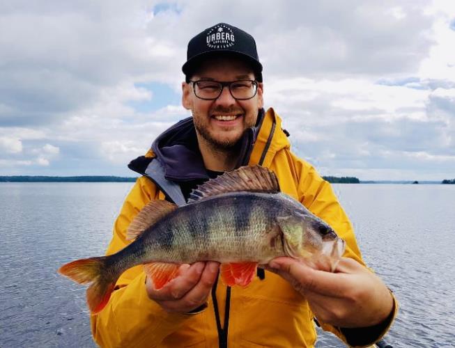 A picture of a Perch, caught by Hegge at 2022-08-08 13:25:02. The lure was a Jig (Perch & Zander Softbait) from Westin Fishing.