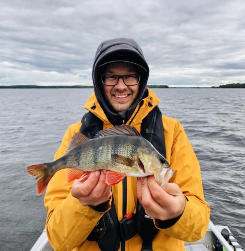 A picture of a Perch, caught by Hegge at 2022-09-19 16:38:31. The lure was a Jig (Perch & Zander Softbait) from Westin Fishing.