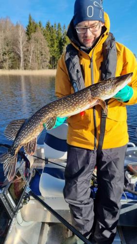 A picture of a Pike, caught by Hegge at 2023-04-10 09:17:50. The lure was a Tail bait from Abu Garcia.