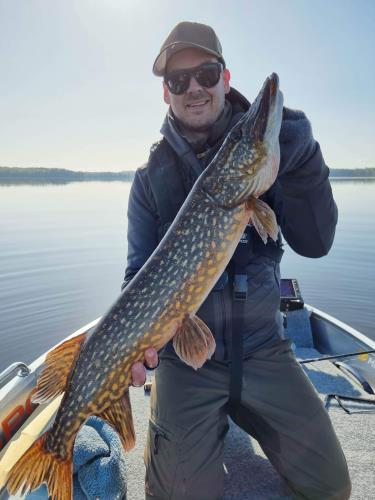 A picture of a Pike, caught by Hegge at 2023-05-19 08:24:29. The lure was a Spoon from Abu Garcia.