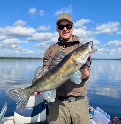 A picture of a Zander, caught by Hegge at 2023-06-04 09:51:27. The lure was a Jig (Perch & Zander Softbait) from Westin Fishing.