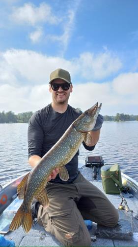 A picture of a Pike, caught by Hegge at 2023-09-11 12:32:46. The lure was a Crankbait from Westin Fishing.