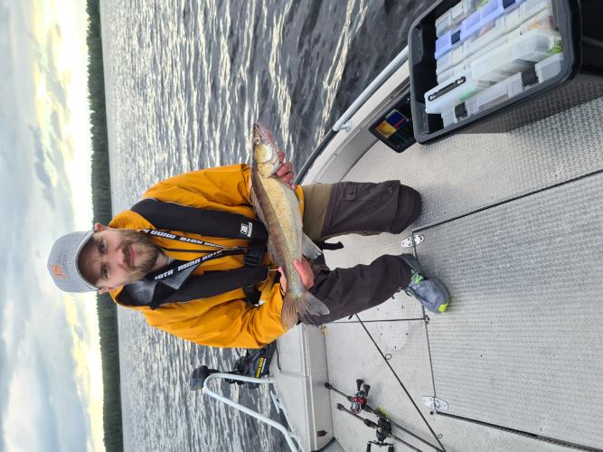 A picture of a Zander, caught by Rasmus  at 2022-06-10 15:16:02. The lure was a Jig (Perch & Zander Softbait) from Berkley.